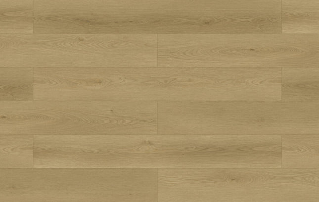 Perennial Pewter